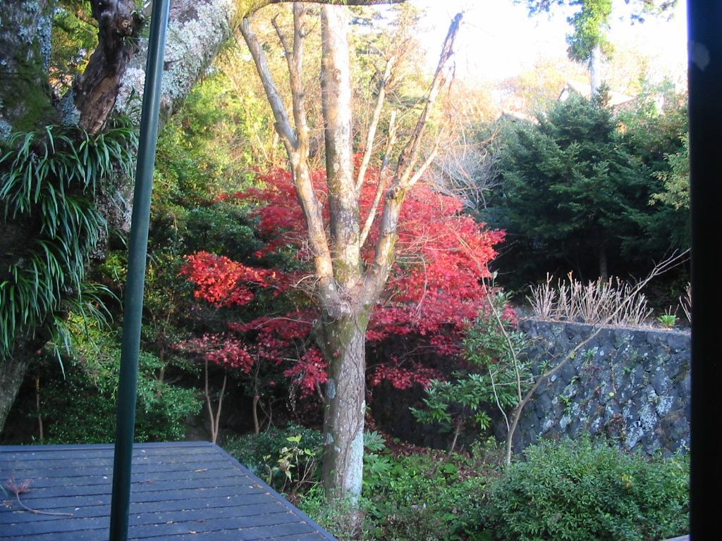Pension Nova Atami  Luaran gambar